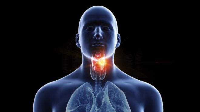 Ear, Nose and Throat