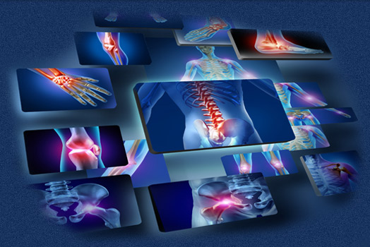 Bones and joints