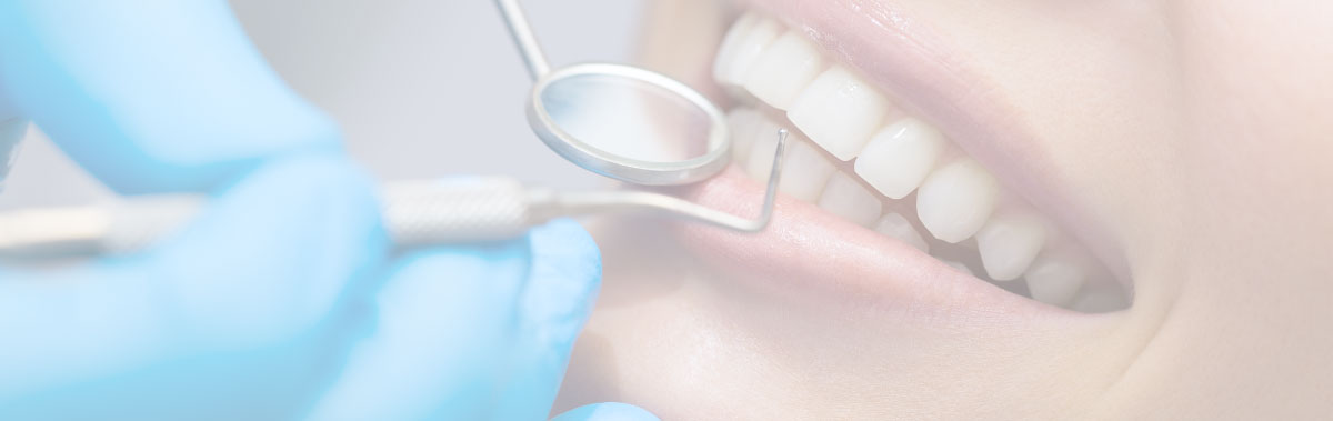 Teeth and jaws
